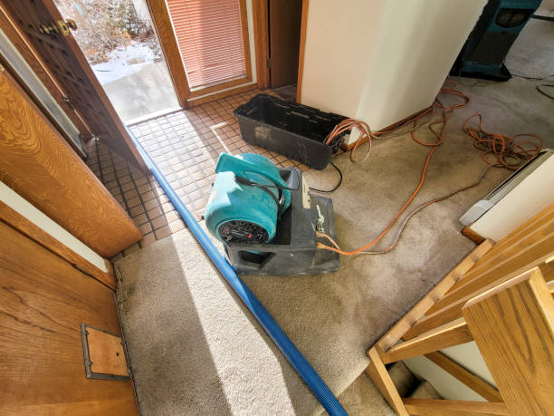 Professional Water damage restoration in Mooreville, MS