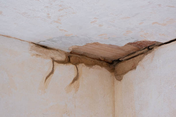 Best Water damage restoration near me  in Mooreville, MS