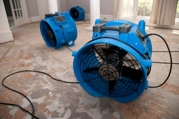Best Water damage restoration near me  in Mooreville, MS