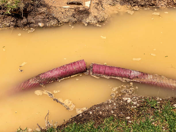 Best Flood damage cleanup  in Mooreville, MS